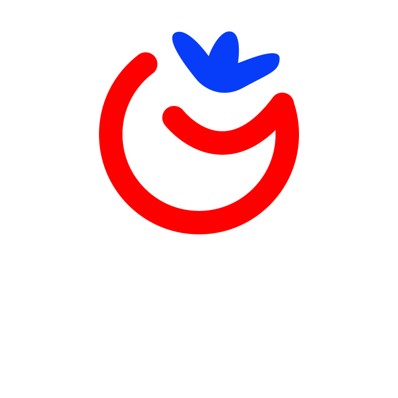 番启留学 FANCY GLOBAL
